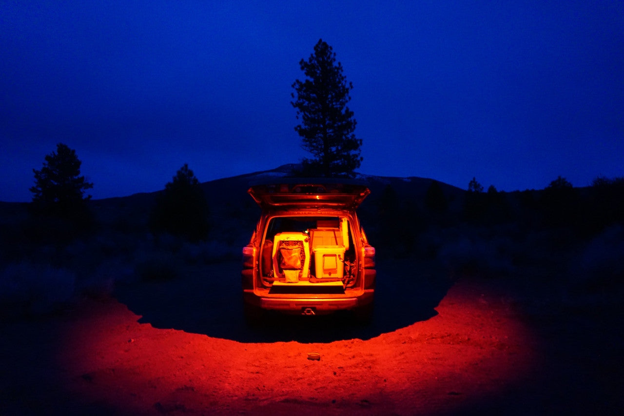 LED Rock Light - Universal