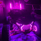 Apollo RGB Wheel Lights Kit - Set of 4 (Harness Included)