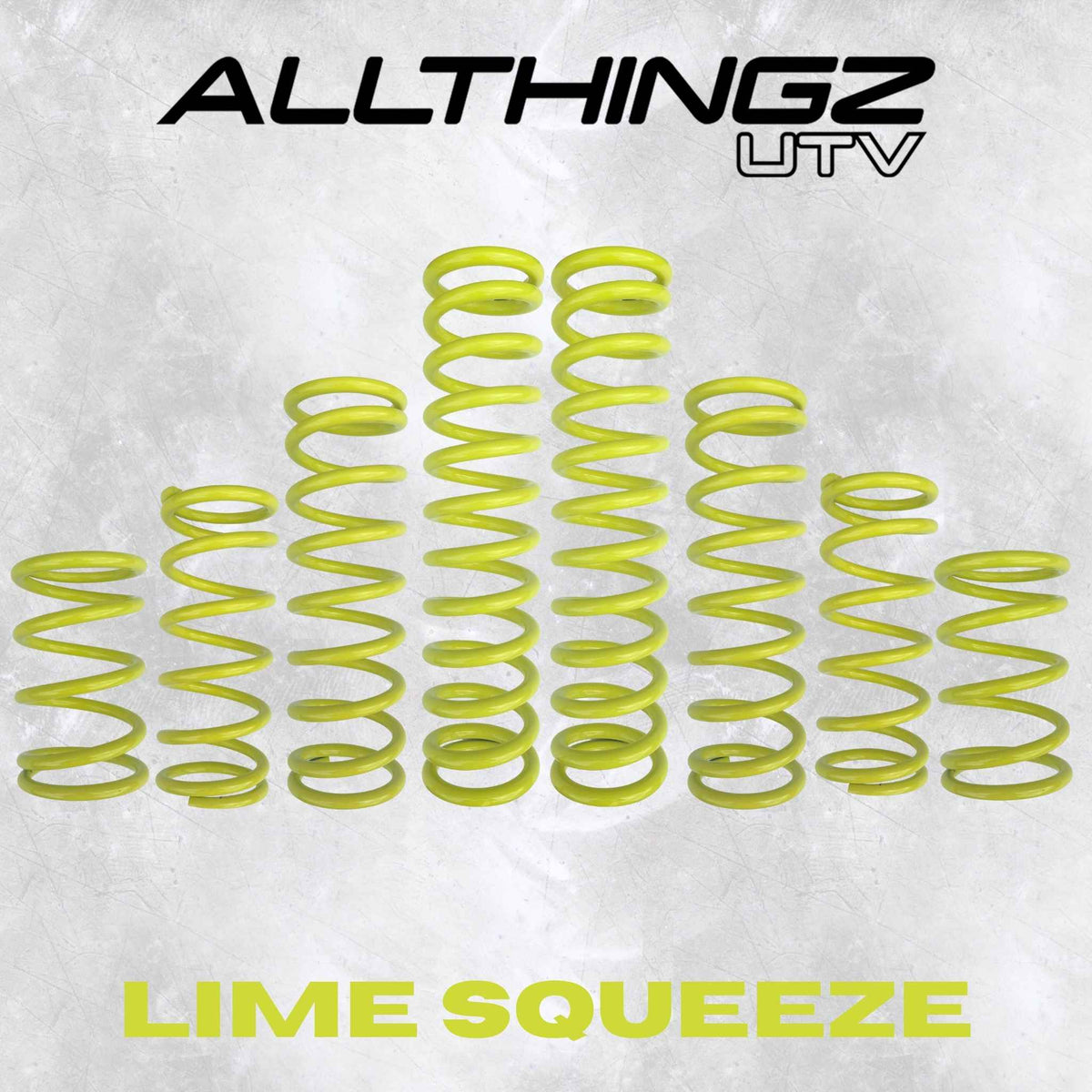 Polaris RZR XP S 2 Seater Dual Rate Spring Kit (Universal Shock Fitment)
