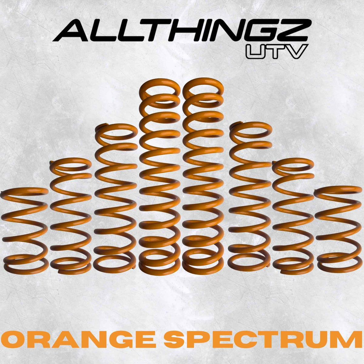 Polaris RZR Pro S 2 Seater Dual Rate Spring Kit (Universal Shock Fitment)