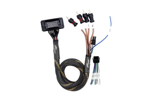 UTV Stereo wiring harness with multi-pin connector and RCA outputs