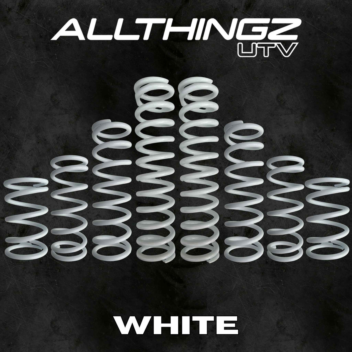 Polaris RZR Pro S 4 Seater Dual Rate Spring Kit (Universal Shock Fitment)