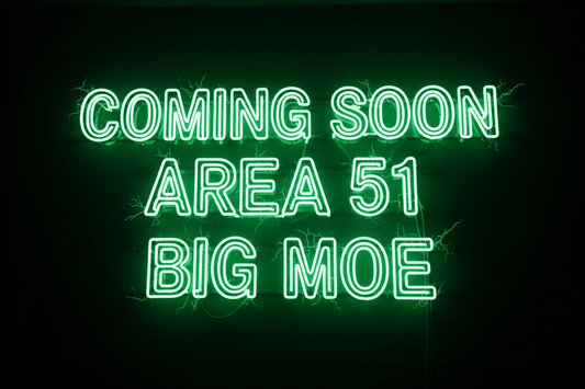 Area 51 Big Moe LED Whips | Compact Heavy-Duty Off-Road Lights
